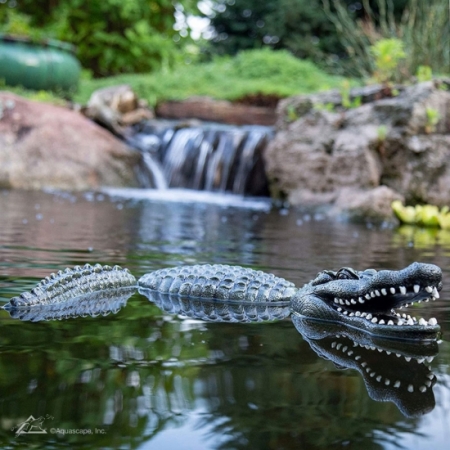 Aquascape Floating Alligator Decoy - Image 3
