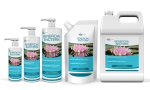 Aquascape Beneficial Bacteria