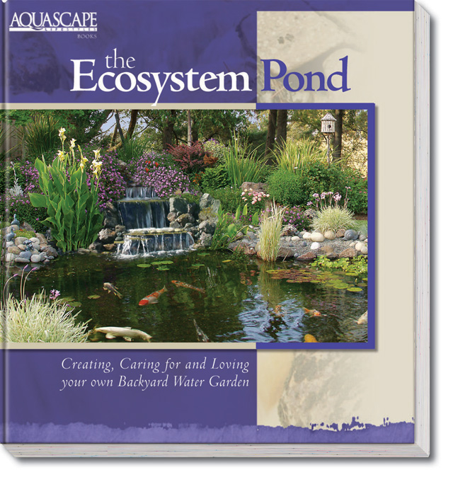 The Ecosystem Pond – Aquascapes