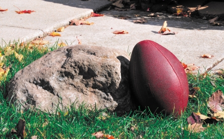 Faux Cover Rock for Aeration Systems - Small