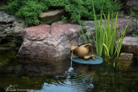 Lazy Frog on Lily Pad Spitter - Image 2