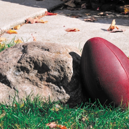 Faux Cover Rock for Aeration System - Medium