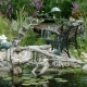 Frequently Asked Questions About Installing a Pond Kit