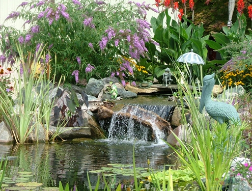 Pond Filtration Systems, Meyer Aquascapes, Professional Pond Install, Aquascape Product Retailer