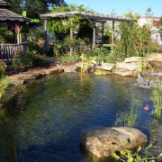 Naturalistic water features