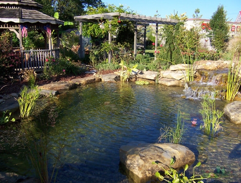 Naturalistic water features