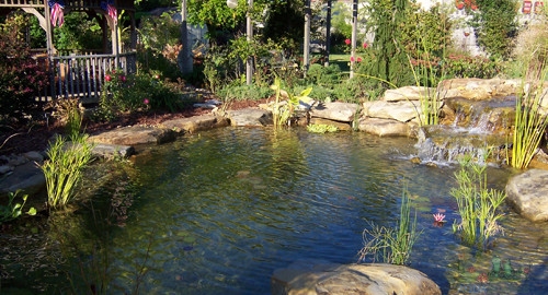 Naturalistic water features