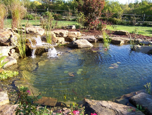 Water Garden Edges: Rocks, Gravel, or Plants?