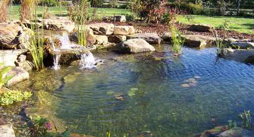 Water Garden Edges: Rocks, Gravel, or Plants?