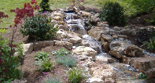 Pond Installation and Water Garden Installation