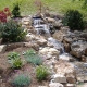 The Complete Guide to Water Garden Installation