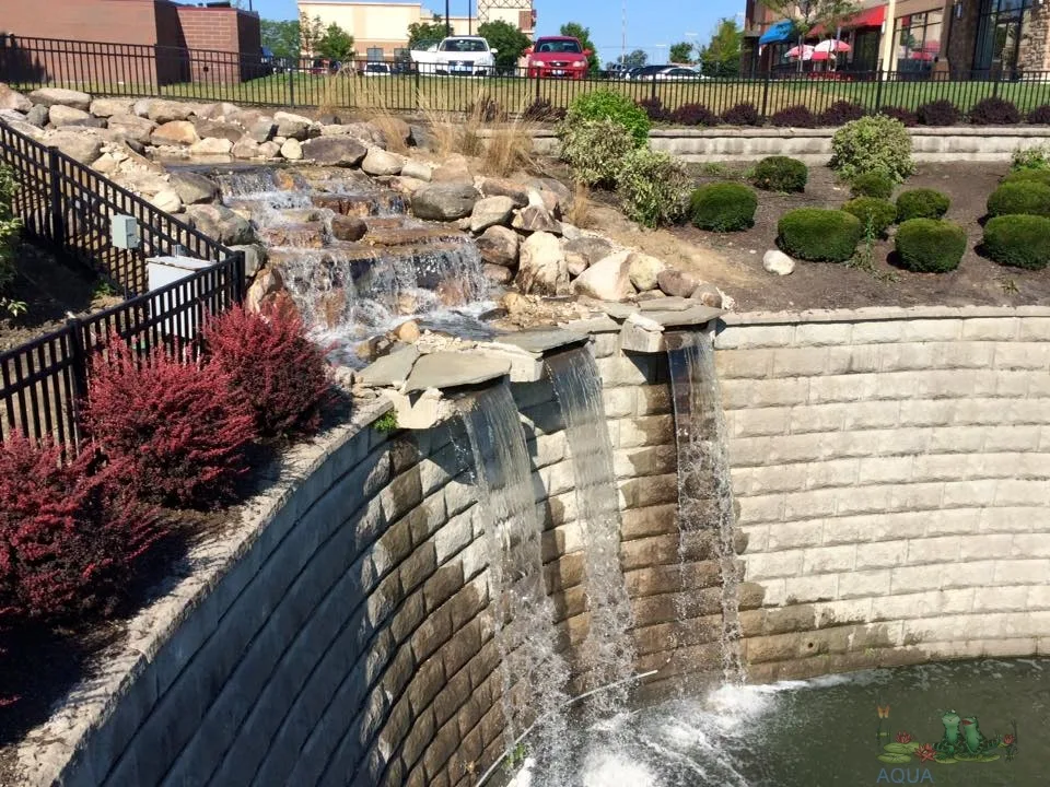 Pond Renovation Services: Revamp Your Water Garden with Meyer Aquascapes