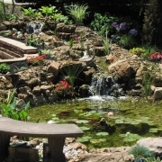 Custom Water Garden Installation