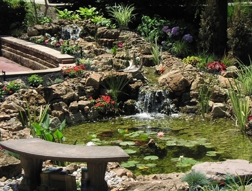 Custom Water Garden Installation