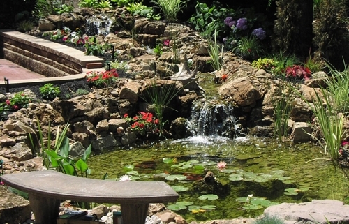 Custom Water Garden Installation