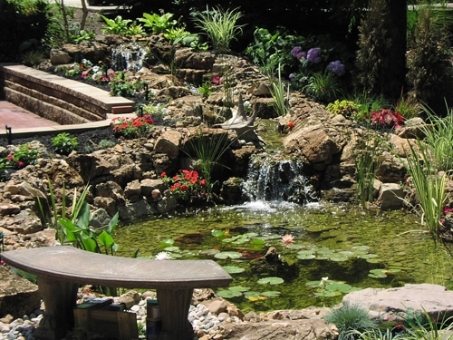 Custom Water Garden Installation
