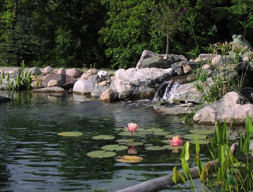 Custom Water Garden Installation