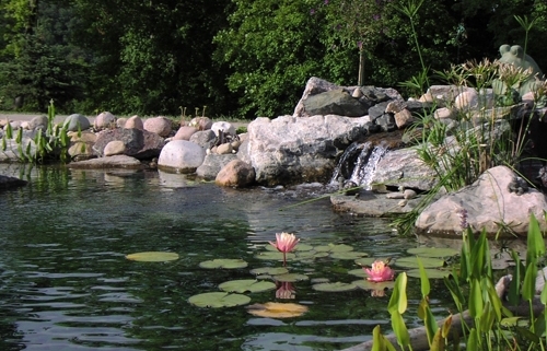 Custom Water Garden Installation