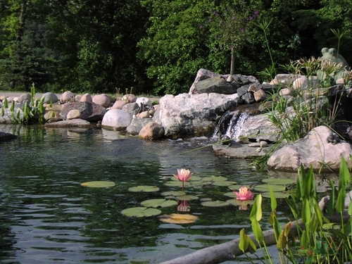 Custom Water Garden Installation