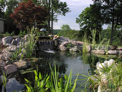 Swimming Pond Installation