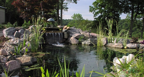 Swimming Pond Installation