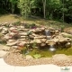 Installing a Backyard Pond, Vault Depth Guide: Understanding the Importance of Depth in Water Features