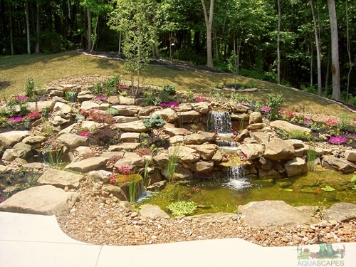 Installing a Backyard Pond, Vault Depth Guide: Understanding the Importance of Depth in Water Features