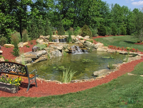 Pond Winterization Expert Advice