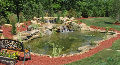 Pond Winterization Expert Advice