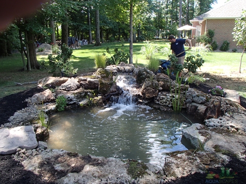 natural swimming pond