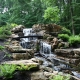 Pond Renovation: Revitalize Your Oasis