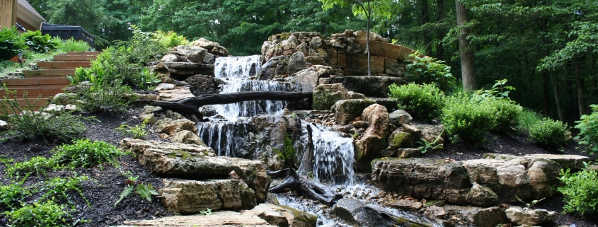 Pond Renovation: Revitalize Your Oasis