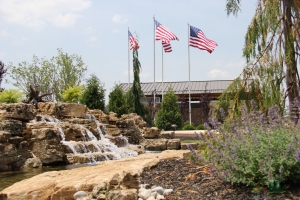 Exploring Pondless Water Gardens: A Practical Guide for Cincinnati Suburban Spaces