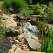 Sustainable Water Management for Water Gardens