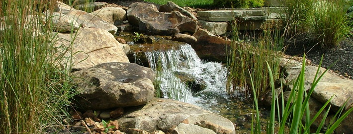 Sustainable Water Management for Water Gardens