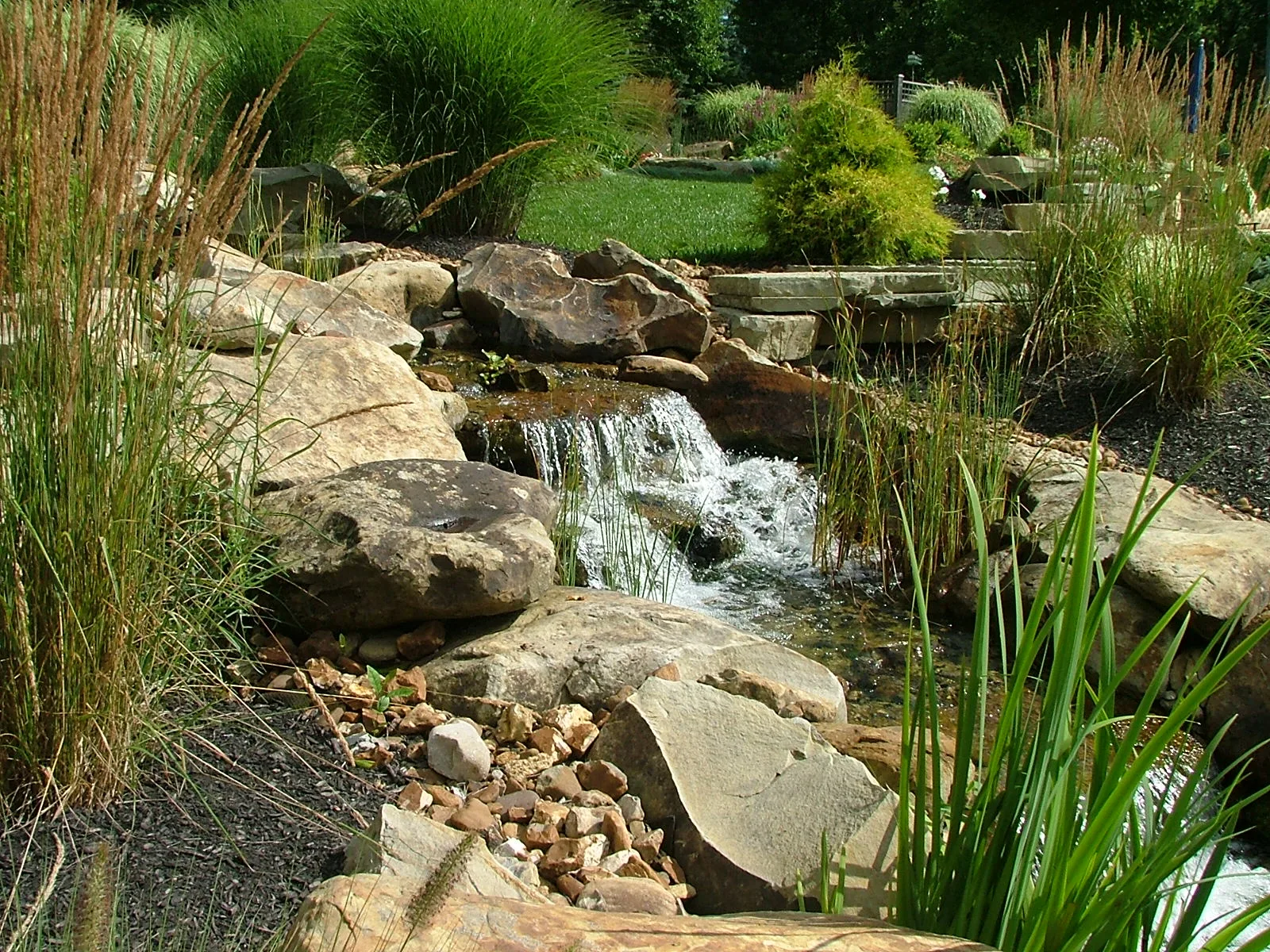 Sustainable Water Management for Water Gardens