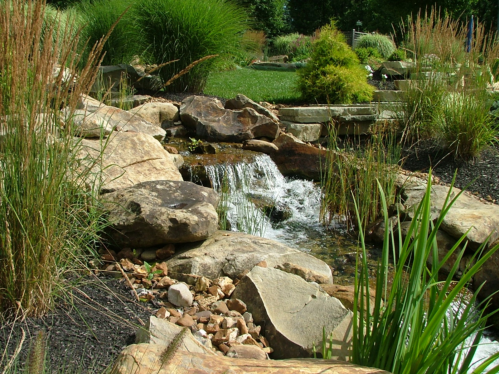 Sustainable Water Management for Water Gardens