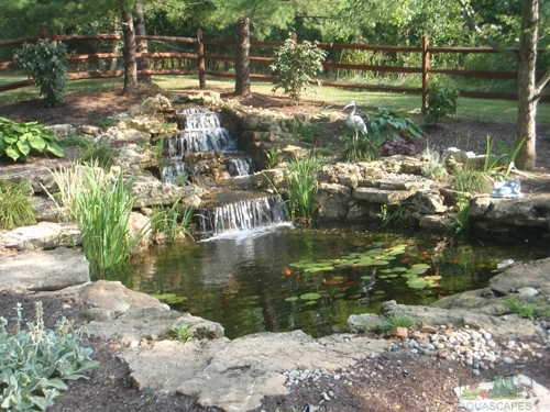 Pond and Water Garden Installation by Meyer Aquascapes, Cincinnati Ohio, Tristate Professional Water Garden Installation Company