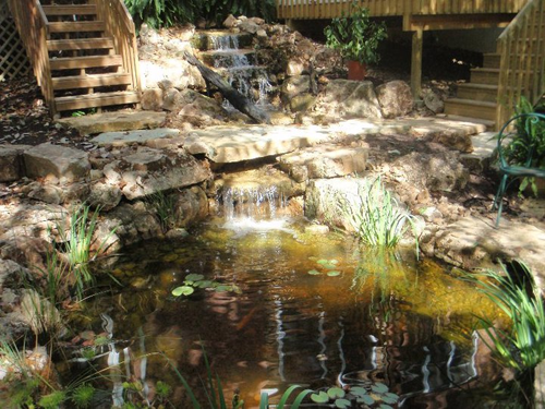 Water Garden Spring Cleaning Tips and Tricks