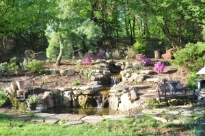 Choosing the Pond Design for Your Yard