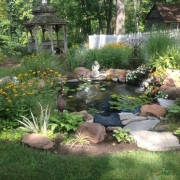 Winter Zen in Your Water Garden: Embracing Tranquility