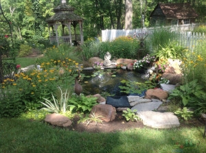 Winter Zen in Your Water Garden: Embracing Tranquility