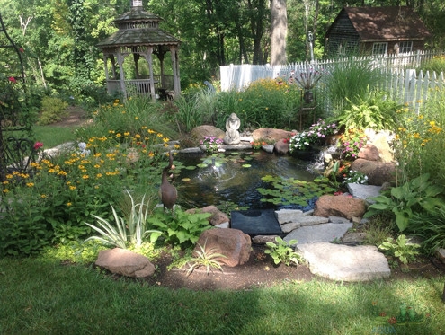 Winter Zen in Your Water Garden: Embracing Tranquility