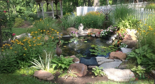 Winter Zen in Your Water Garden: Embracing Tranquility