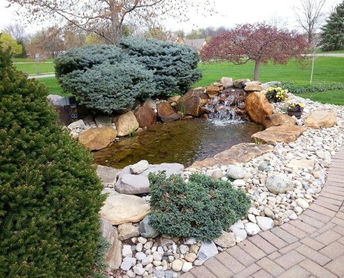 Spring Cleaning Your Pond, Edible Aquatic Plants for Your Water Garden