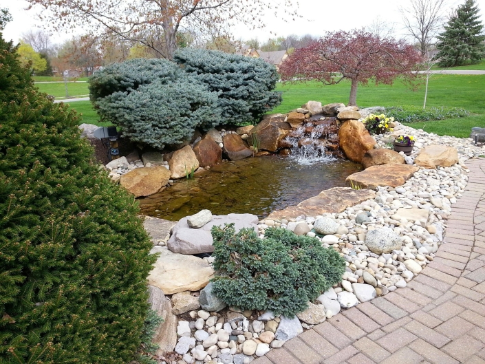 Spring Cleaning Your Pond, Edible Aquatic Plants for Your Water Garden