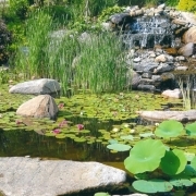 Pond and Water Garden Installation by Meyer Aquascapes, Cincinnati Ohio, Tristate Professional Water Garden Installation Company