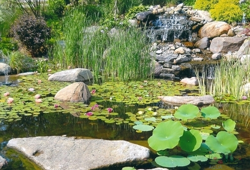 Pond and Water Garden Installation by Meyer Aquascapes, Cincinnati Ohio, Tristate Professional Water Garden Installation Company