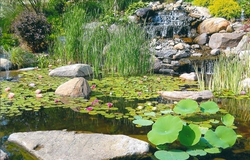 Pond and Water Garden Installation by Meyer Aquascapes, Cincinnati Ohio, Tristate Professional Water Garden Installation Company