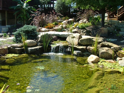 Aquascapes | Project Image Gallery